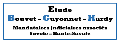 Logo Bouvet Guyon